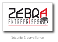 Zebra Entreprise | Sécurité & surveillance | GDPI Agence Web Marseille